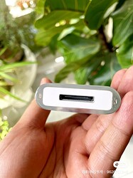 F08F8A83-AE4C-439C-A99A-E9719764D7D4_1_105_c